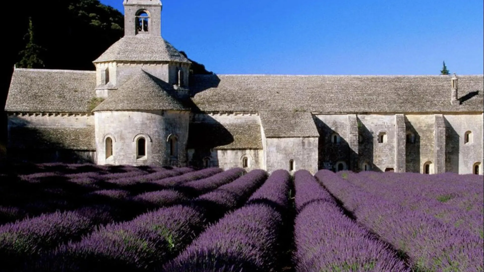 Le Clos Du Moulin 4 - Maison, Jardin, 3 Chambres (Adults Only) Holiday home Entraigues-sur-la-Sorgue